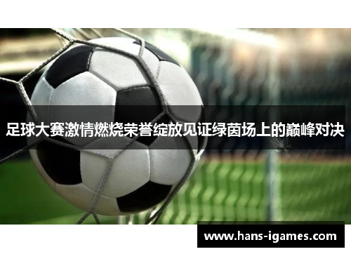 足球大赛激情燃烧荣誉绽放见证绿茵场上的巅峰对决